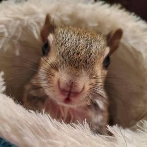 Meet your Posher, Mae